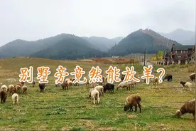 新疆旅游，乌鲁木齐市郊的水西沟一定不要错过，好看免费视频封面