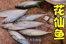 花仙鱼：潮汕人最爱这样吃，做法超简单易学，原汁原味冷却吃更鲜