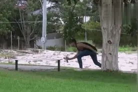 老外恶搞：用空气喇叭吓唬正要挥杆打球的人，大爷气得想打人