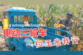 农村秋收农忙季，高哥今天继续弄玉米，电动三轮拉了1300斤视频封面