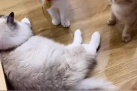 告诉我你的苦恼，让我做你的灯塔，我会把它们统统赶走。#英文歌 #英文歌教学 #monsters