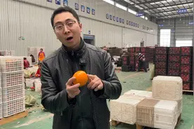 产地的水果都是分等级的，按照好坏中差分，一份价钱一分货视频封面