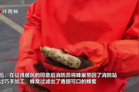 消防员帮居民摘蜂窝闻味直呼饿了，带回消防站滤出蜂蜜视频封面