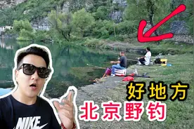 北京野钓好地方真多，房山这条河水真清澈，5分钟就能上条鱼视频封面