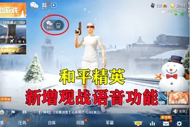 和平精英新增观战语音功能，太赞了！