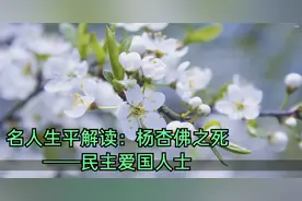 名人生平解读：杨杏佛之死——民主爱国人士视频封面