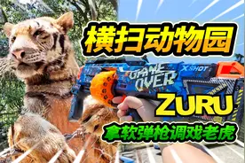 拿着软弹枪逛动物园，调戏老虎刺激非凡，今天真是太过瘾了