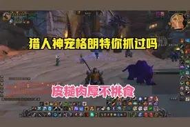 怀旧服猎人最好的宠物之一格朗特 很多人没见过