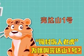 “闯村伤人老虎”为啥叫完达山1号？专家：发现地为完达山区域