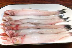 海边人教你：家常酱油水煮龙头鱼，鱼肉鲜美如豆腐，好吃又下饭