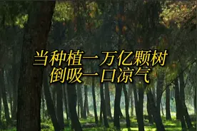 如果在全世界种一万亿颗树，需要多久呢？地球会产生怎样的变化？视频封面