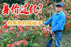 丹东大哥被网友称作花仙子，并且估算他身价过亿，种啥花这么值钱