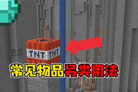 我的世界：8个常见物品的另类用法，末地烛还能这样用