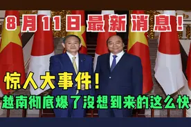 8月11日最新消息！惊人大事件！越南彻底爆了，没想到来的这么快.