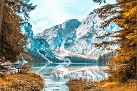 古琴、诗词赏析：不识庐山真面目，只缘身在此山中。