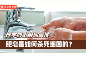 肥皂是如何杀死细菌的？视频封面