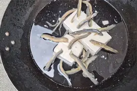 实拍泥鳅钻豆腐全过程，水温升高时场面失控，不知道能成功吗？