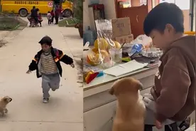 小奶狗路口等待小主人放学回家，随后一幕令人动容视频封面