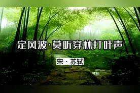 《定风波·莫听穿林打叶声》原文加译文