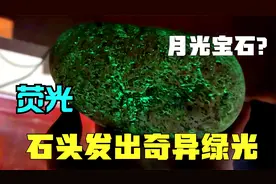 网友捡到发绿光的石头，10万高价也不卖？老纪毒舌说不值100块！