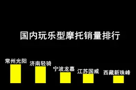 工信部数据：国内玩乐型摩托销量排行—品牌榜
