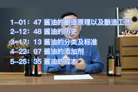 一个视频看懂酱油，一波说酒讲解酱油历史酿造原理添加剂标准成本视频封面