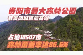 占地10507亩！目前贵州贵阳市最大森林公园，森林覆盖率达86.6%！视频封面