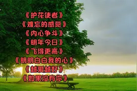 《护花使者》 《难忘的感觉》 《内心争斗》 《明年今日》