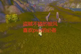 魔兽世界怀旧服盗贼不错的披风，喜欢pvp的必备