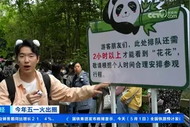 今年五一火出圈 四川成都：大熊猫“花花”人气爆棚视频封面
