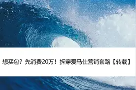 想买包？先消费20万！拆穿爱马仕营销套路【转载】