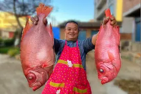 830买2条深海大眼鸡鱼，深海鱼口感意外的好吃，大叔连骨头都啃了视频封面