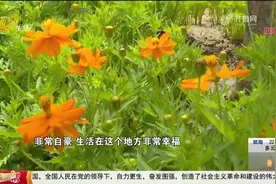 680亩东部“绿肺”！济钢中央森林公园开放，市民再添游玩好去处