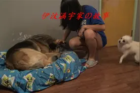 狗姐的溝通方法视频封面