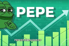 PEPE币暴涨1000%！它有哪些风险？PEPE的代币经济学解读