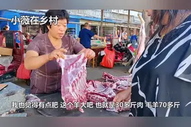 河南南阳羊肉又涨价了，多少钱一斤？卖羊肉大姐告诉你最新价格视频封面