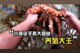 水族游乐园 手养章鱼  嘻嘻水池清理收尾