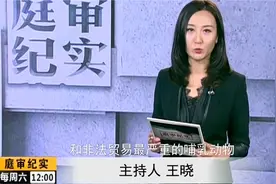大爷出国捡到穿山甲鳞片，把它带回国，立马被判刑！视频封面