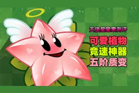 植物大讲堂：天使星星果测评，5阶质变的竞速植物！