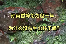 孙尚香嫁给刘备三年，为什么没有生出孩子呢？视频封面