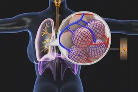 房间隔缺损修补手术是怎么做的？术后要注意补充营养