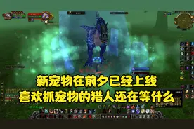 WLK前夕猎人可以抓取的6个特殊北北（上）终于有新宠物了