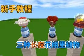 迷你世界：新手教学 三种你没见过 只种座花瓶里面的花 你认识吗