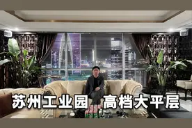 【苏州工业园】带你参观苏州CBD地标大平层，繁华夜景一览无余视频封面