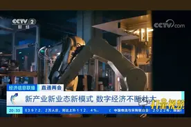 新产业新业态新模式！数字经济不断壮大|经济信息联播视频封面