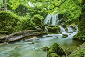 150分钟自然钢琴配乐，朴质的自然气息升腾，在悠扬的乐声中飘散