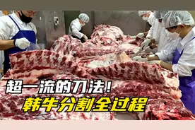 超一流的刀法！见识一下牛肉分割过程，下刀精准，没一刀是多余的