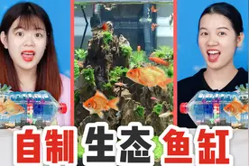矿泉水瓶还能做鱼缸？挑战花10元自制生态鱼缸，真的能把鱼养活吗视频封面