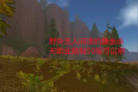 魔兽世界怀旧服：野外无人问津的赚金点，无职业限制，50级可以刷