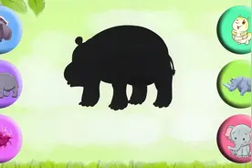 趣味识动物：中间的影子是哪只小动物？快从彩球中找到正确答案吧视频封面